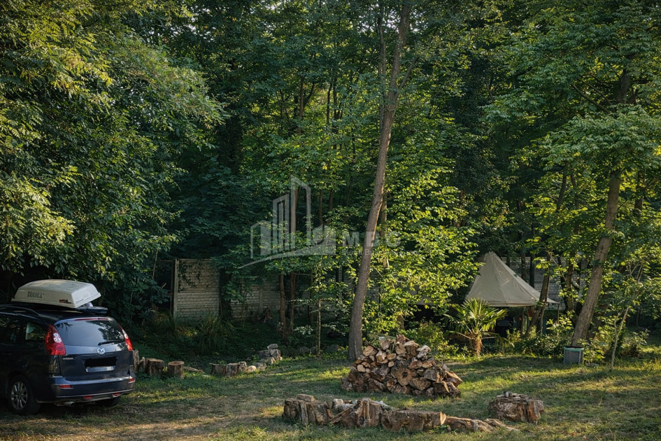 Business for sale Commercial Telavi Kakheti