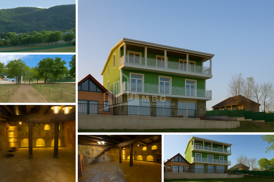 For Sale Commercial Bazaleti Dusheti Mtskheta   Mtianeti