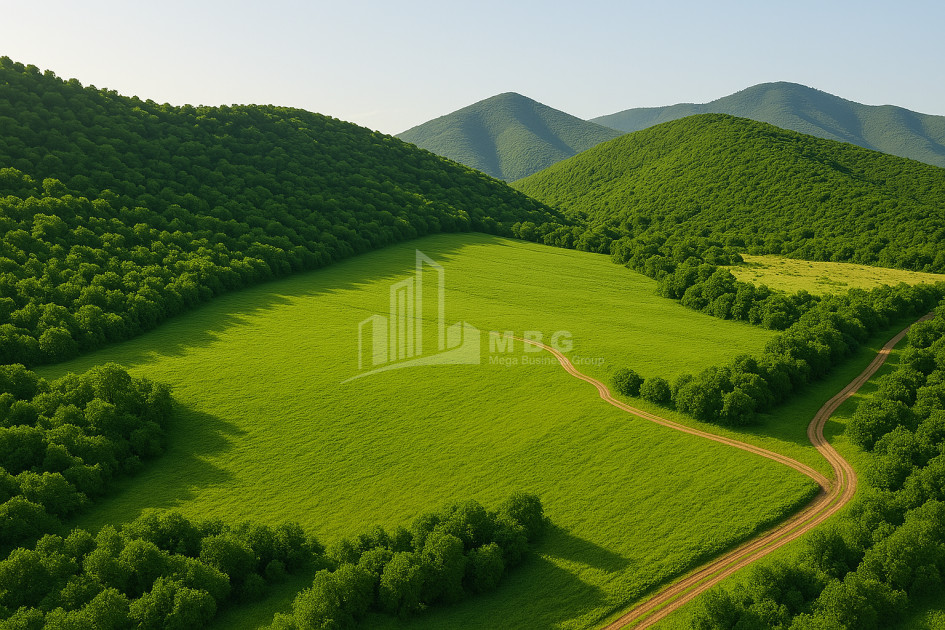 Продается Земля Ахалсопели Кварели Кахети