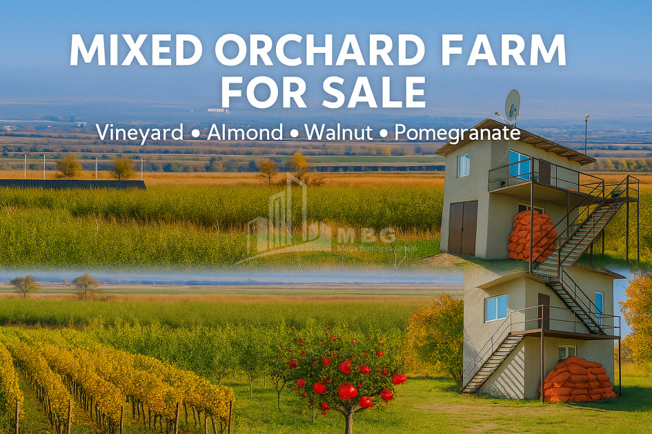 იყიდება მიწის ნაკვეთი სოფელი შაუმიანი მარნეული ქვემო ქართლი