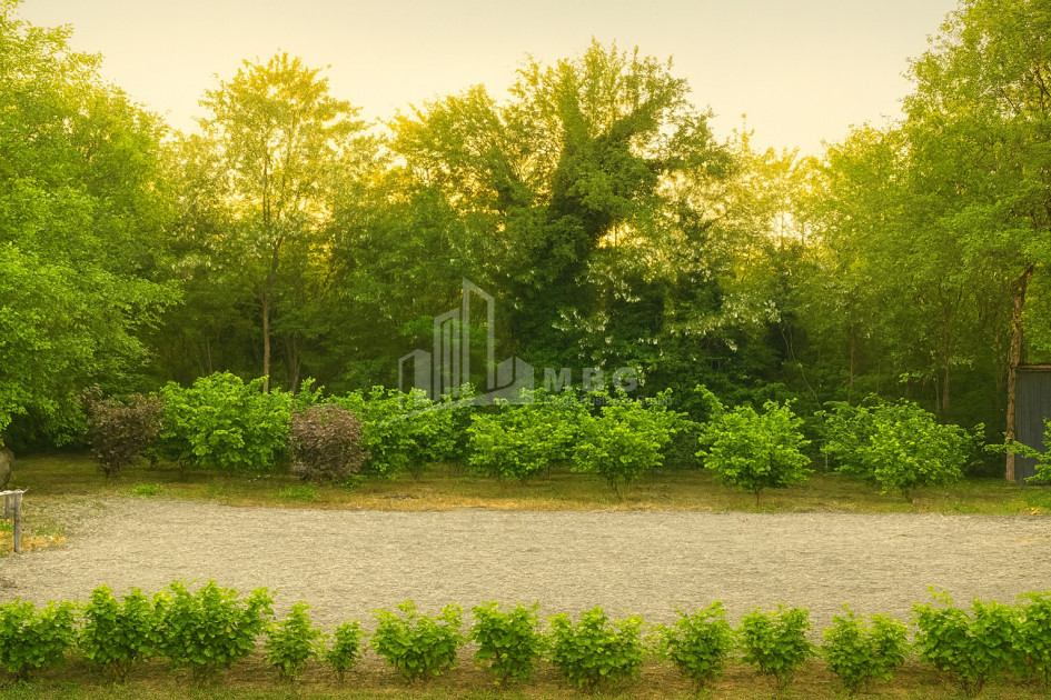 იყიდება ბიზნესი კომერციული ფართი თელავი კახეთი