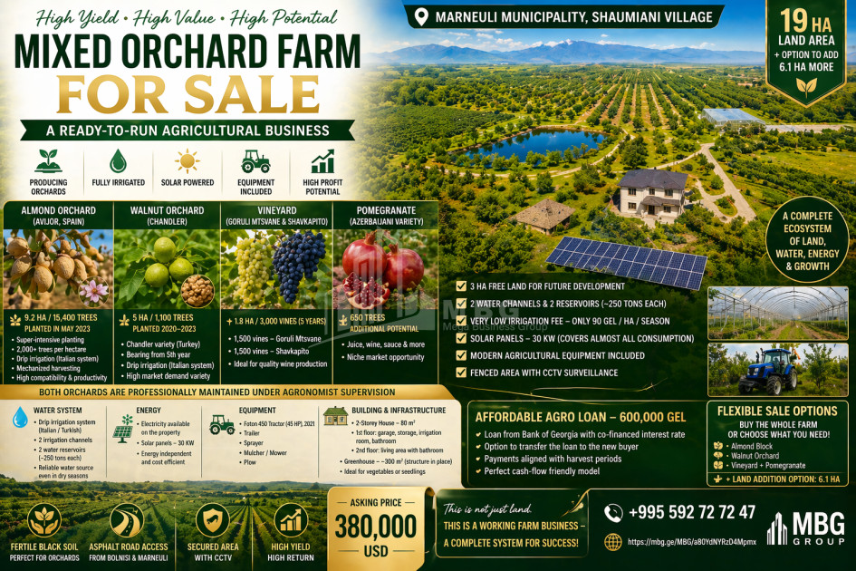 Продается Фруктовые сад Земля В Деревня Шаумяни, Марнеули