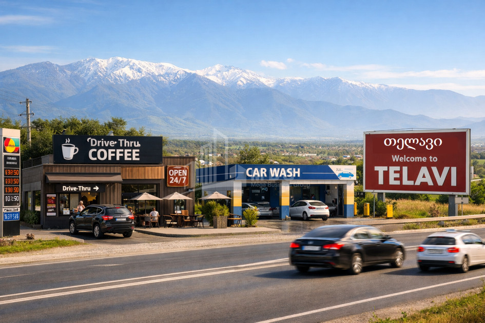 For Sale Land Telavi Kakheti