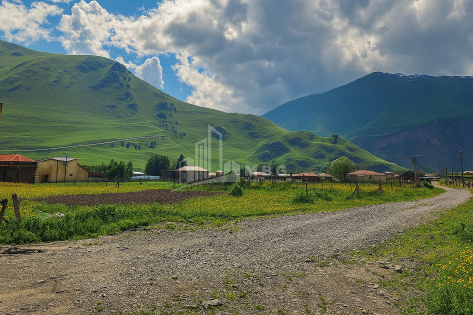 For Sale Land Achkhoti Kazbegi Mtskheta   Mtianeti