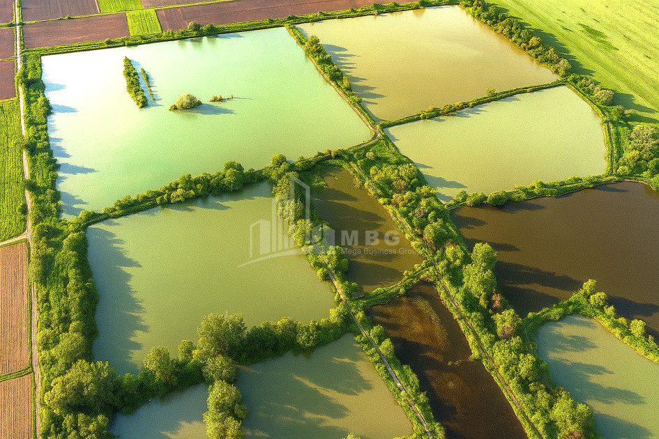For Sale Land Kvemo Alvani Akhmeta Kakheti