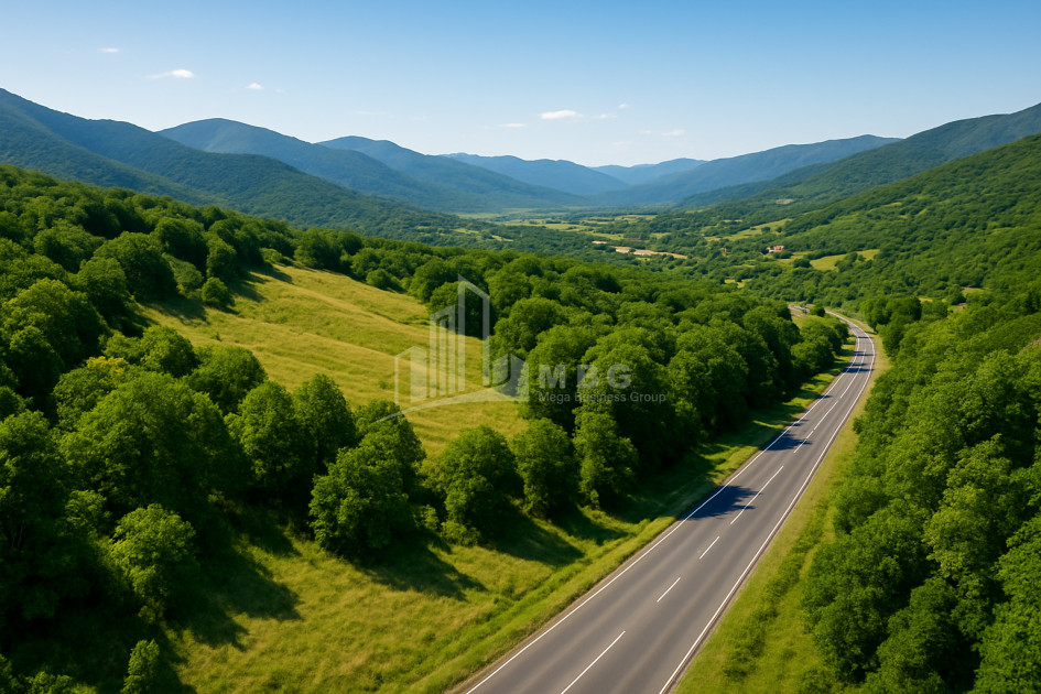 For Sale Land Cheremi Gurjaani Kakheti