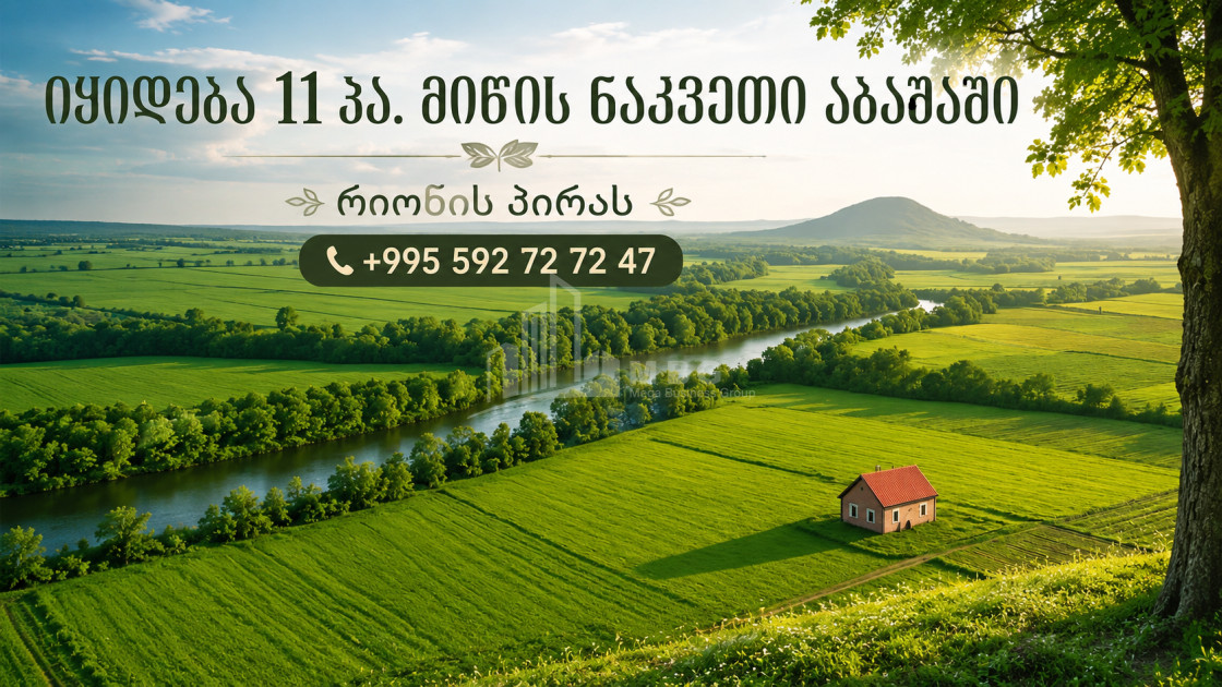 For Sale Orchards Land In Abasha