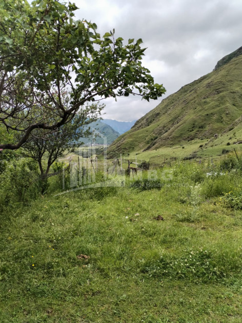 For Sale House Villa Gergeti Kazbegi Mtskheta   Mtianeti