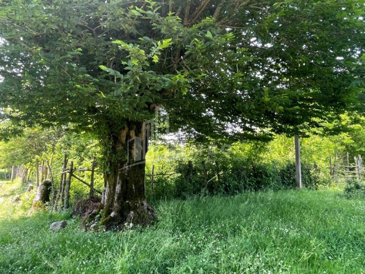 Продается Дачные Земля, в Сенакски