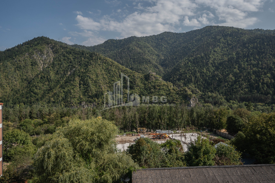 For Sale Commercial Likani Borjomi Samtskhe   Javakheti