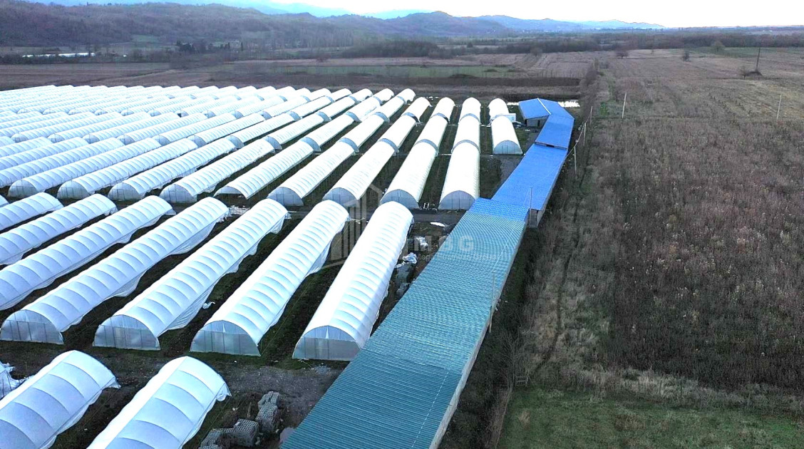 For Sale Land Vani Imereti