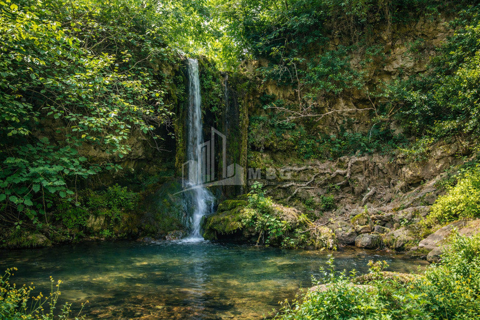 Продается Озеро - Рыболовное хозяйство Земля В Деревния Гачиани, Гардабани