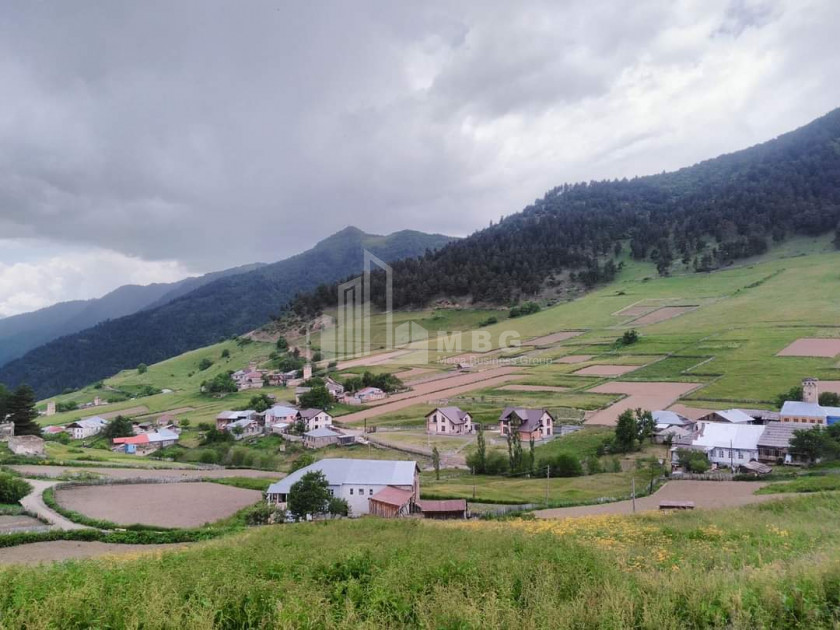 იყიდება სააგარაკე მიწის ნაკვეთი, წვირმი