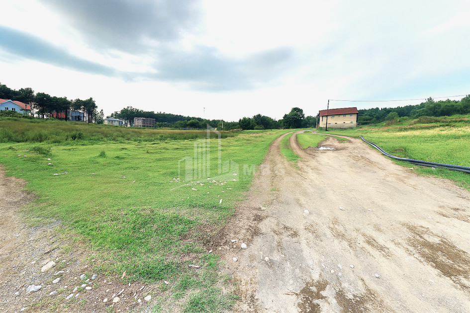 For Sale Land Daba Shekvetili Ozurgeti Municipalities of Guria