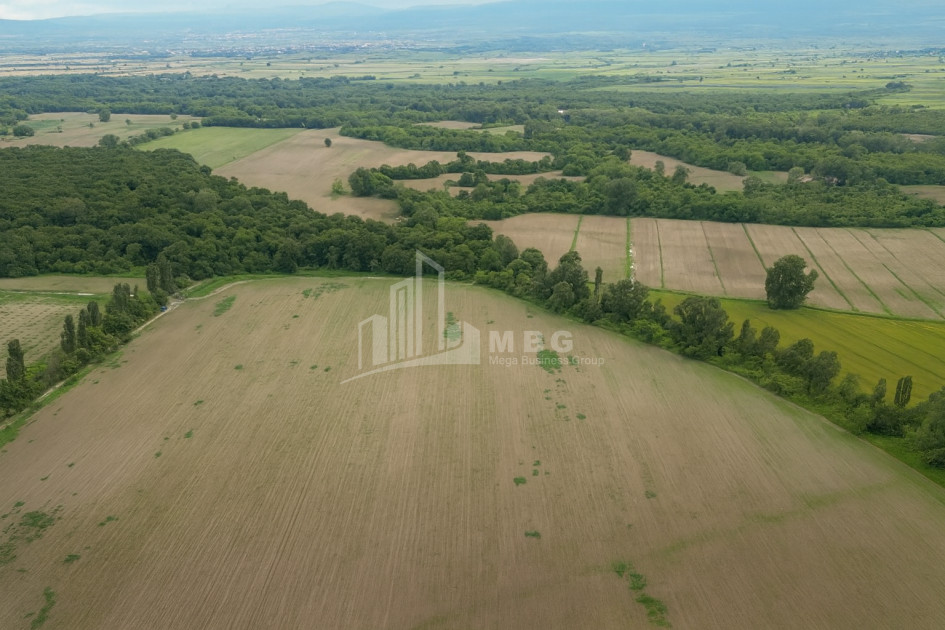 For Sale Land Telavi Kakheti