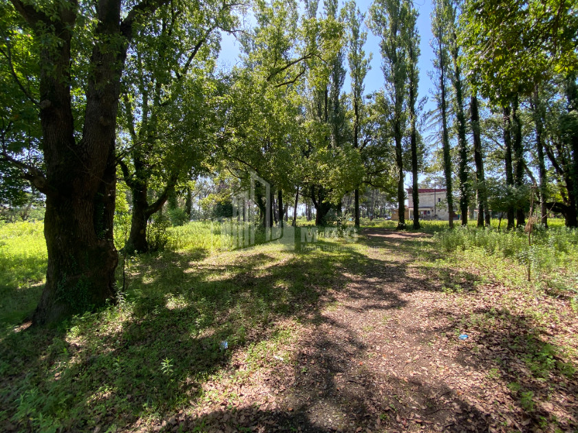 Продается Дачные Земля, в Город Поти