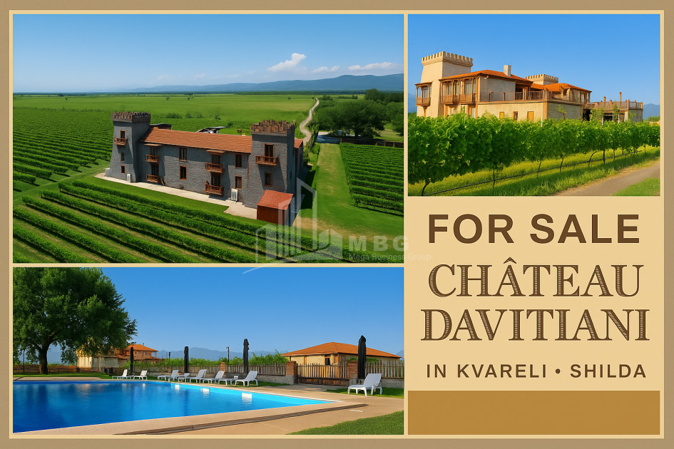 For Sale Commercial Kvareli City Kvareli Kakheti
