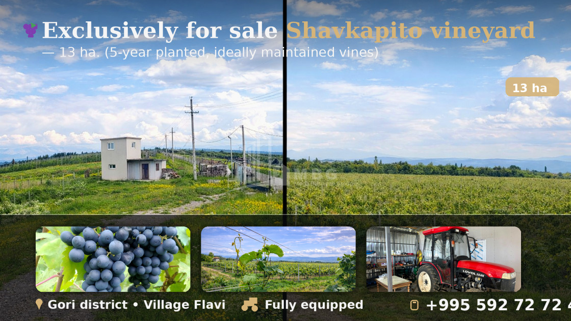 For Sale Vineyard - Chateau Land In Gori