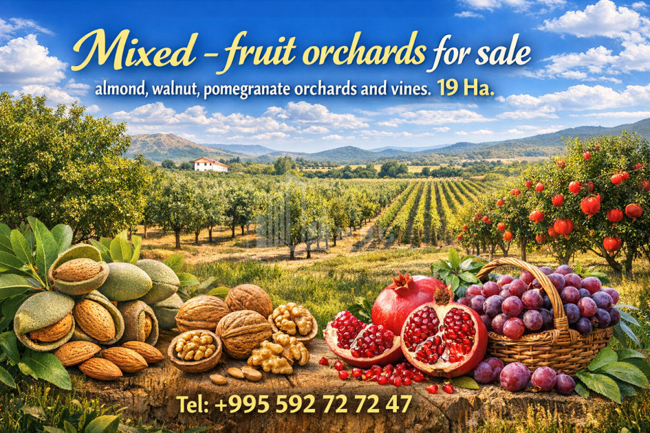 For Sale Land Village Shaumiani Marneuli Kvemo Kartli