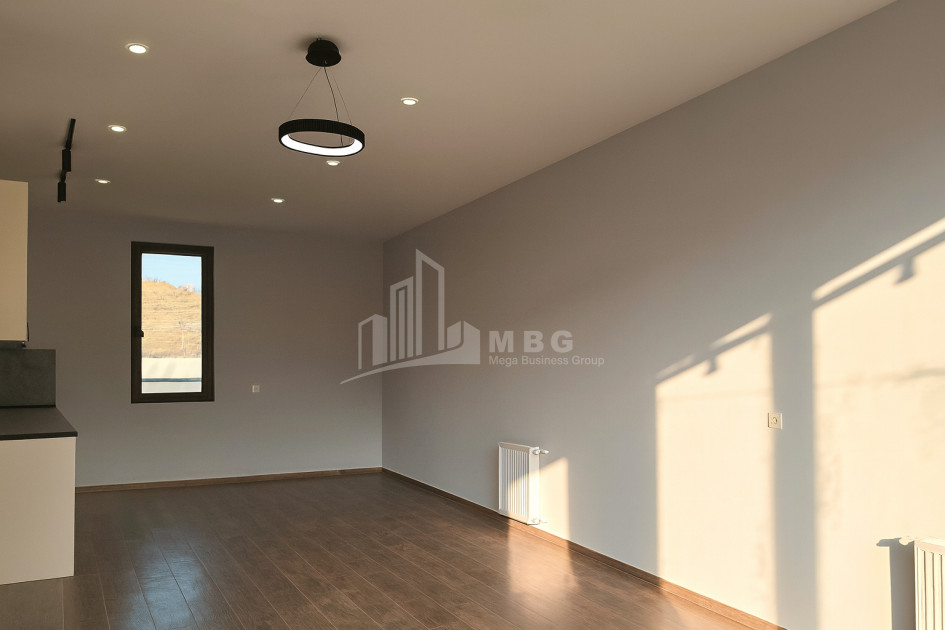 For Sale House Villa Village Dighomi Saburtalo District Tbilisi