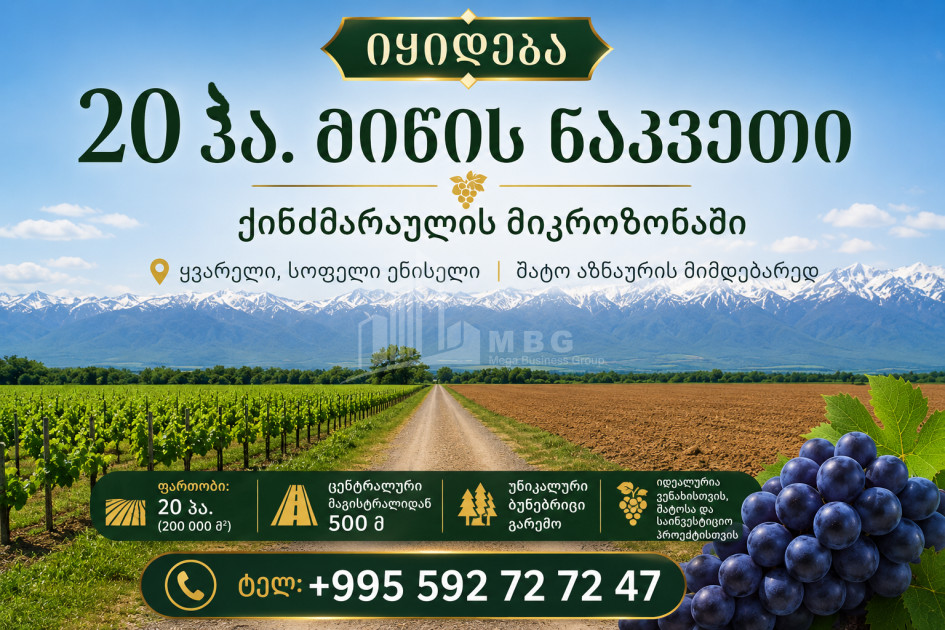 For Sale Vineyard - Chateau Land In Eniseli, Kvareli