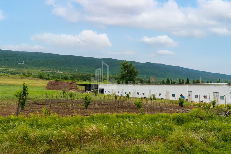 For Sale Commercial Okami Kaspi Shida Kartli