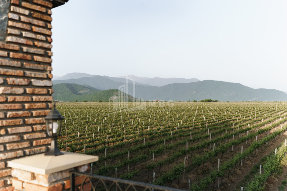 For Sale Commercial Kvareli City Kvareli Kakheti