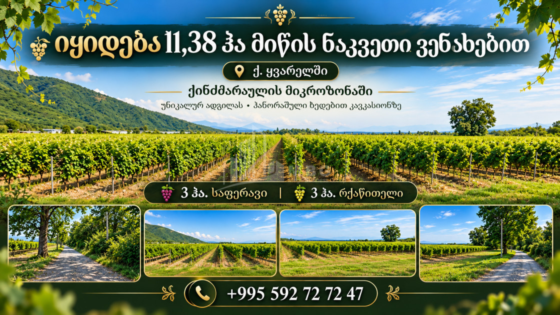 For Sale Vineyard - Chateau Land In Kvareli