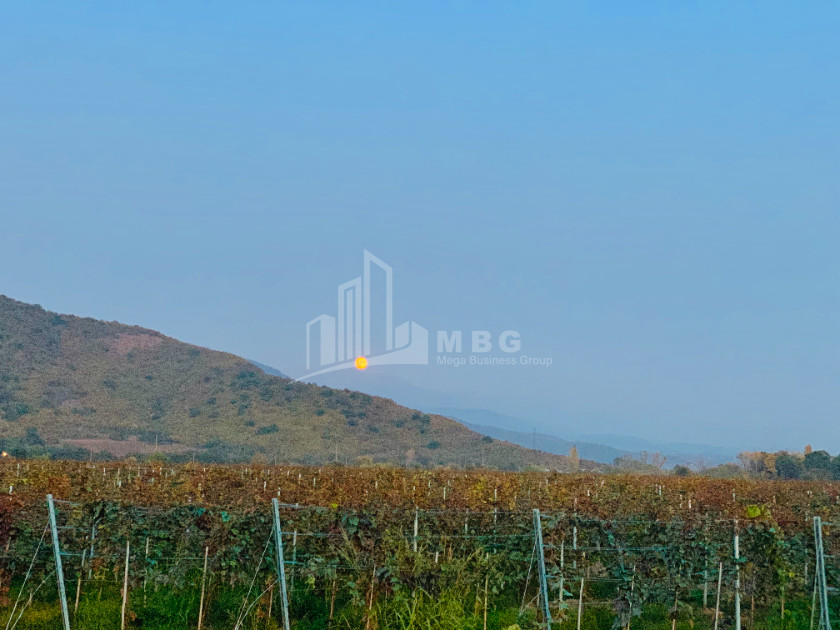 For Sale Land Kvareli Kakheti