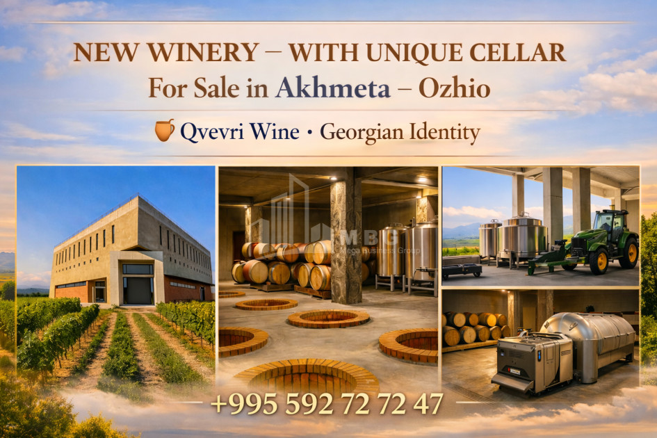 For Sale Chateau / Wine factory Commercial In Ojio, Akhmeta