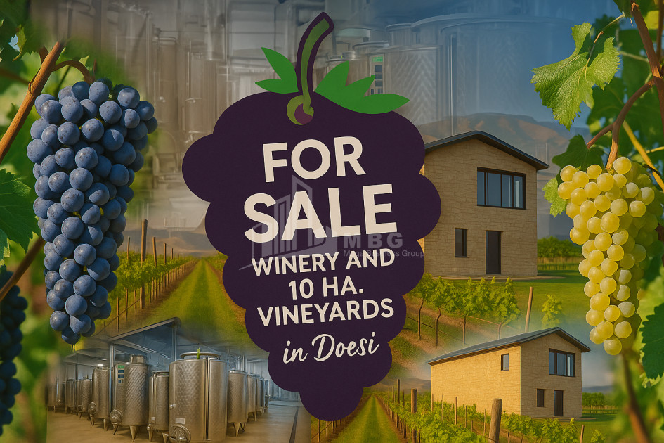 იყიდება კომერციული ფართი დოესი კასპი შიდა ქართლი