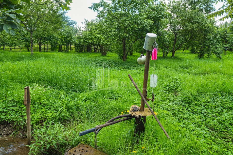 For Sale Land Chibati village Lanchkhuti Municipalities of Guria