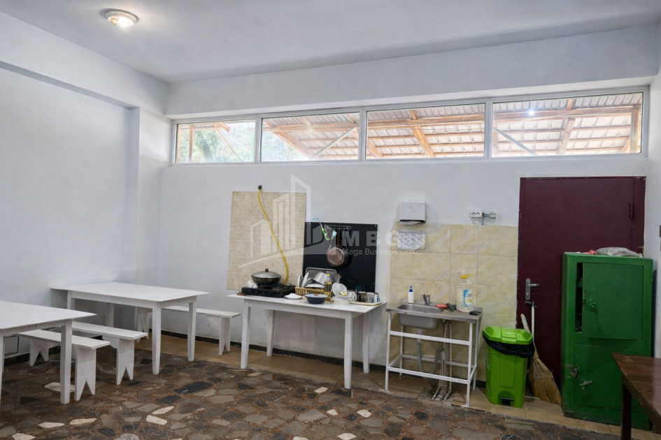 Business for sale Commercial Kvemo Ponichala Krtsanisi District Tbilisi