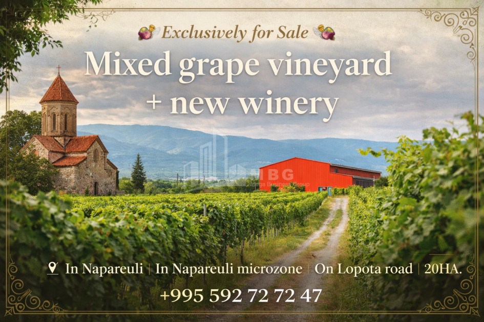 იყიდება მიწის ნაკვეთი ნაფარეული თელავი კახეთი