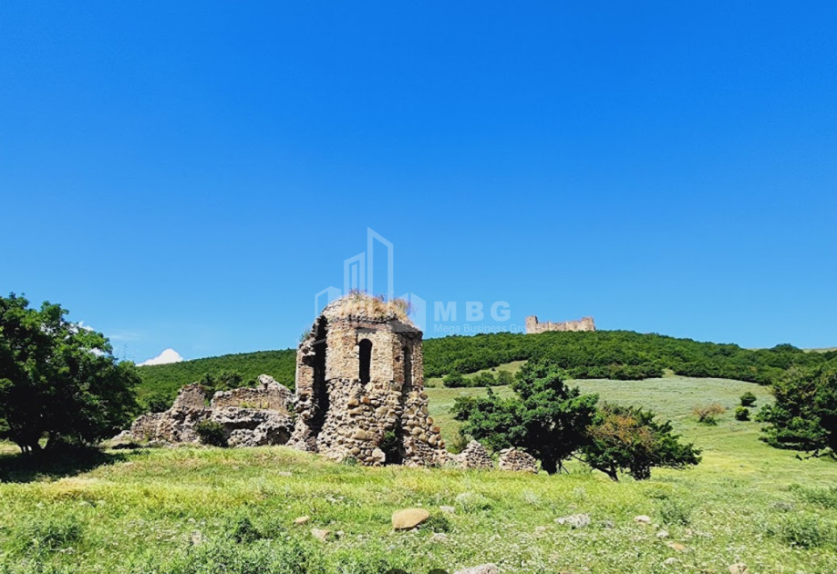 For Sale Land Pantiani Kaspi Shida Kartli