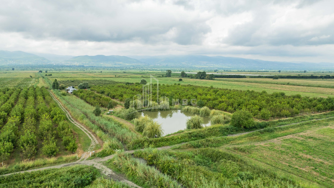 For Sale Land Kakheti