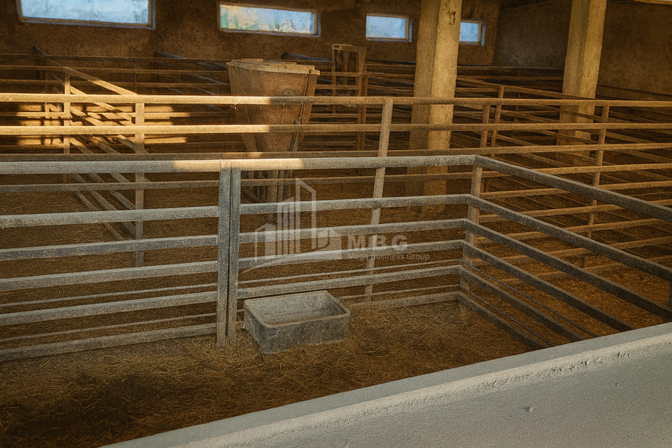 Продается Земля Зинобиани Кварели Кахети