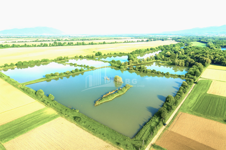 For Sale Land Kvemo Alvani Akhmeta Kakheti