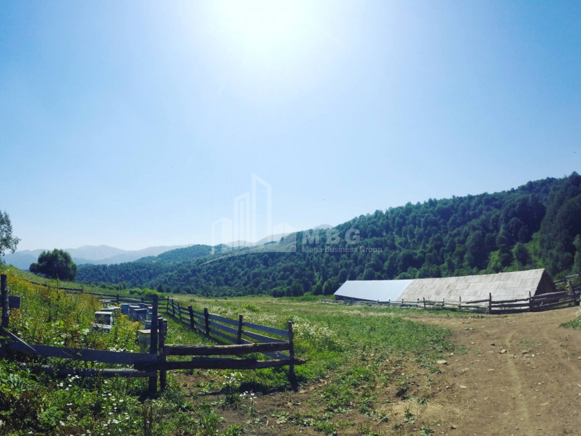 For Sale Agricultural Land, in Tsikhisjvari