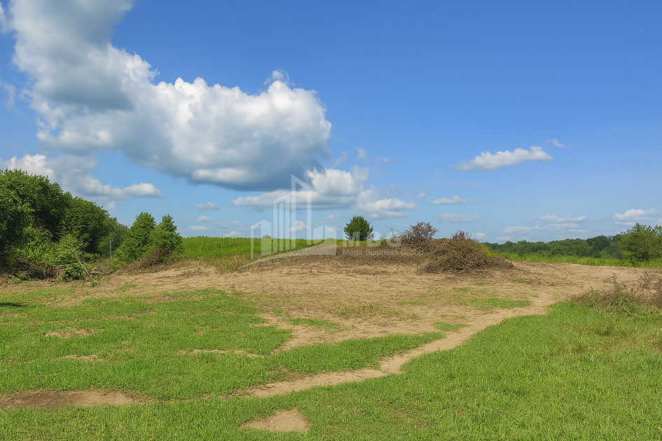For Sale Land Eki village Senaki Samegrelo   Upper Svaneti