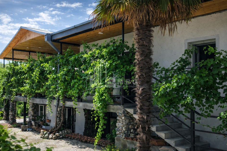 For Sale Commercial Kvareli Kakheti