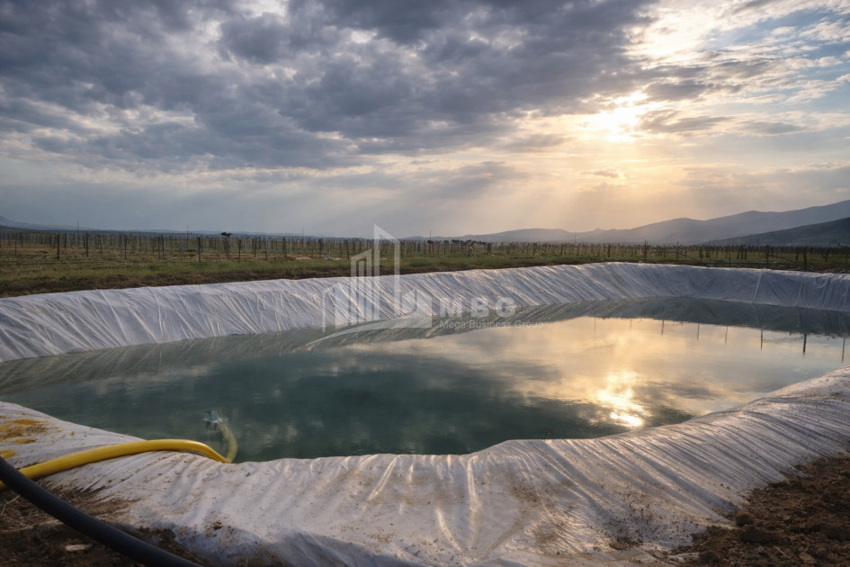 For Sale Land Kumisi Gardabani Kvemo Kartli