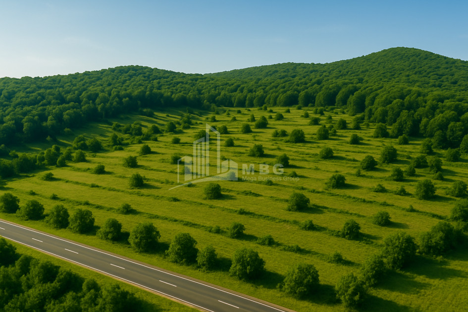 For Sale Land Cheremi Gurjaani Kakheti