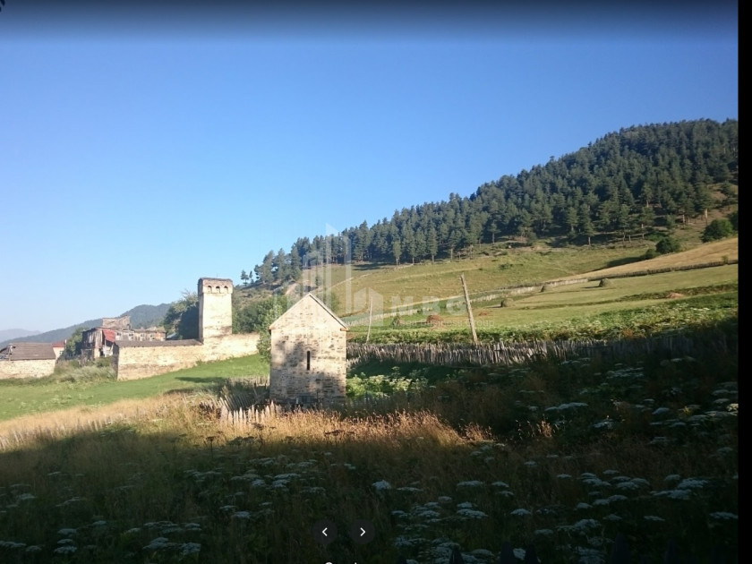 იყიდება სააგარაკე მიწის ნაკვეთი, წვირმი