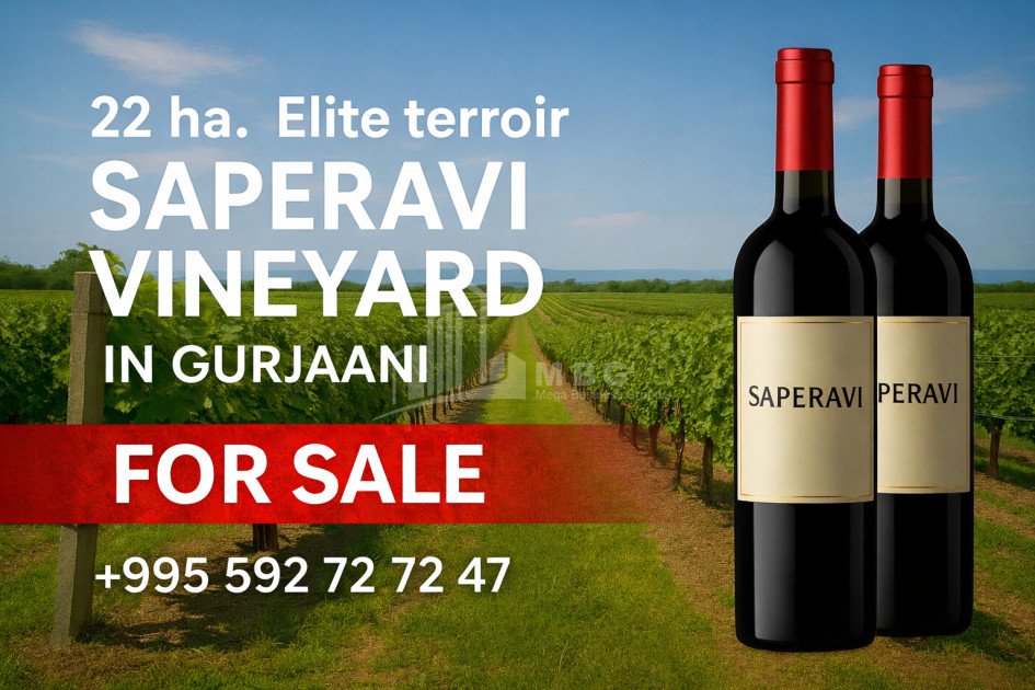 Продается Земля Зегаани Гурджаани Кахети