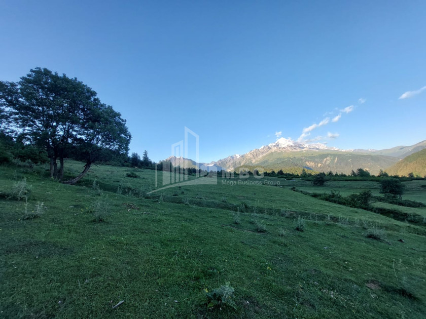 For Sale Land Tsvirmi Mestia Samegrelo   Upper Svaneti