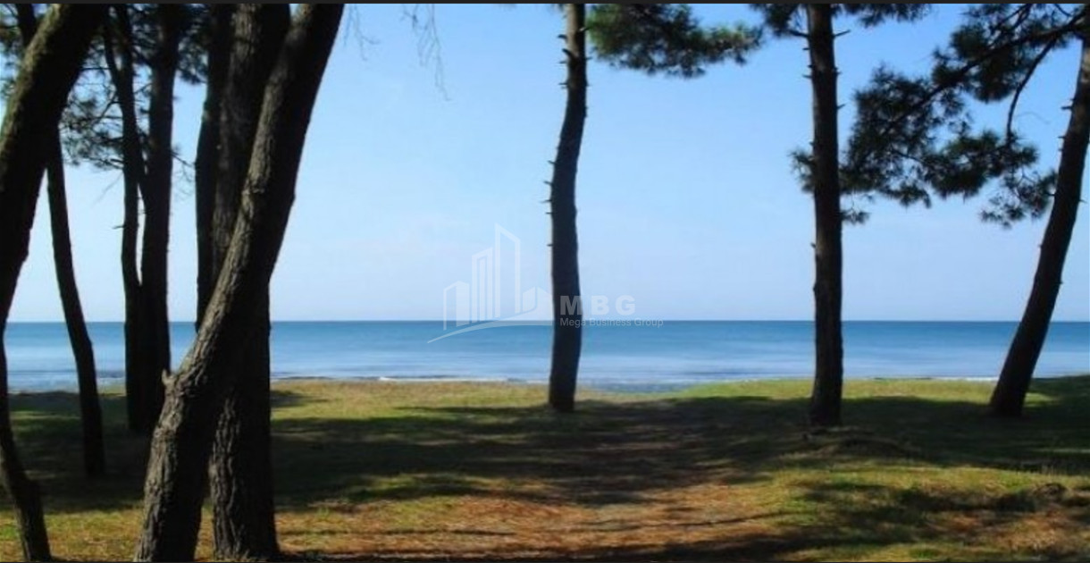 For Sale Land Daba Ureki Ozurgeti Municipalities of Guria