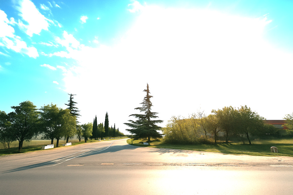 For Sale Land Kvemo Kartli