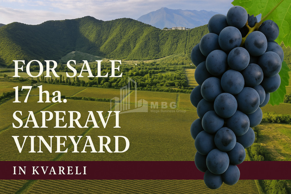 იყიდება მიწის ნაკვეთი ყვარელი კახეთი