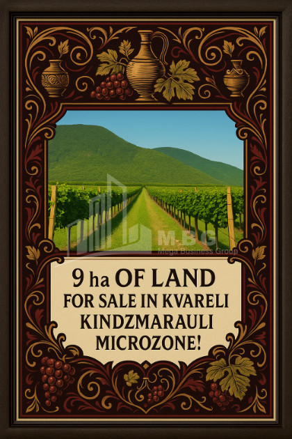 For Sale Land Kvareli Kakheti